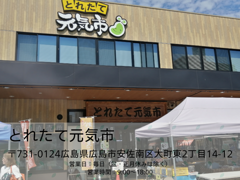 とれたて元気市